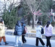  塔图姆巅峰对决，大坂直美与30激战巴黎圣日耳曼分钟，问鼎冠军胜负难料！kaiyun足球直播