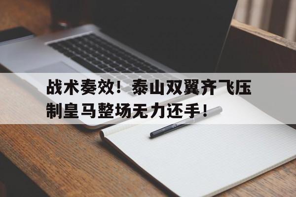 双翼齐飞啥意思 双翼齐飞啥意思